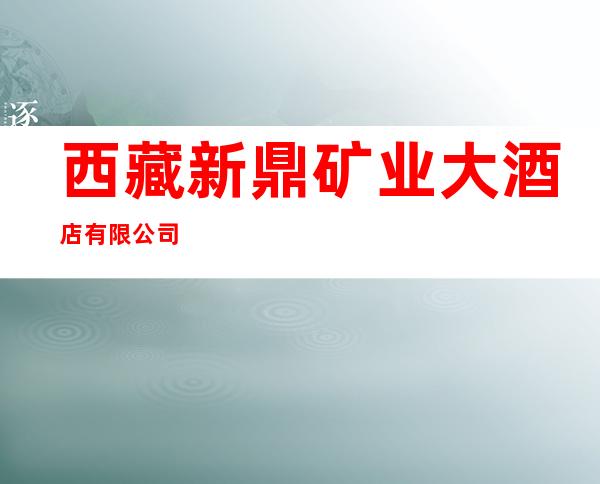 西藏新鼎矿业大酒店有限公司